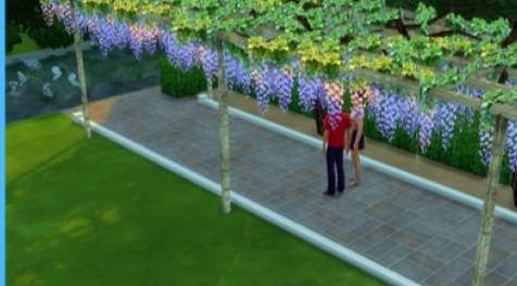 模拟人生4MOD：GIGO-TS4-Fujidana-鹏藤