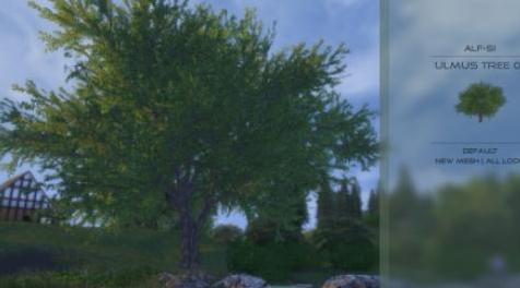 模拟人生4MOD：花植物16