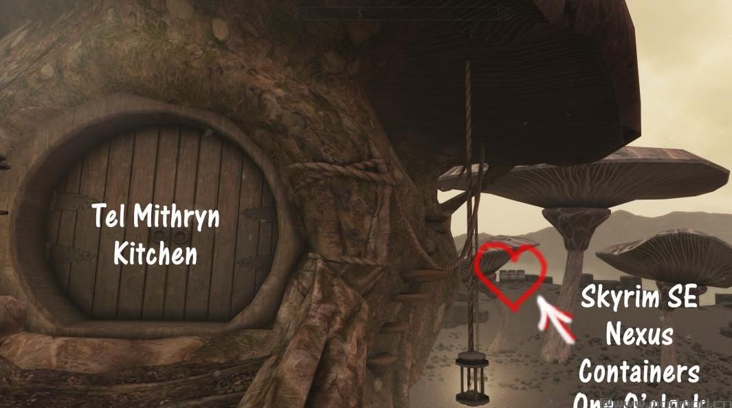 上古卷轴5：重置版MOD：Skyrim SE -动态链接容器