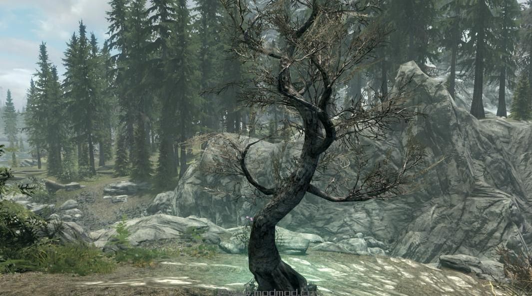 上古卷轴5：重置版MOD：德鲁伊-萨满法术和杖