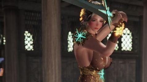 上古卷轴5：天际MOD：黑色沙漠 游侠比较稀有的服装