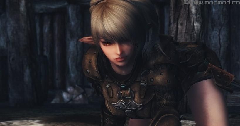 上古卷轴5：天际MOD：Alforttes Elves Followers-JP Custom Voice