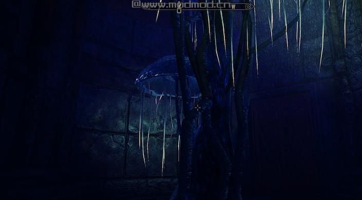 上古卷轴5：重置版MOD：布莱克赫特镇的堡垒-玩家之家