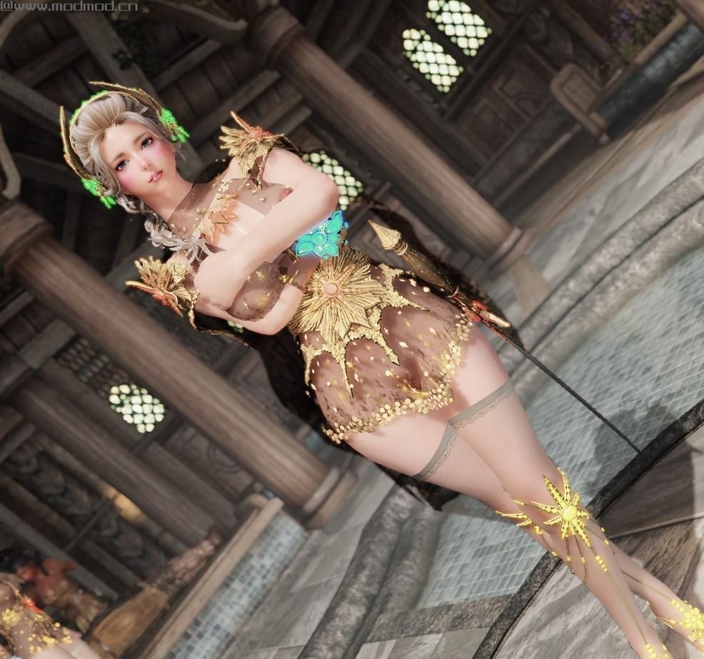 上古卷轴5：天际MOD：黑色沙漠 游侠比较稀有的服装