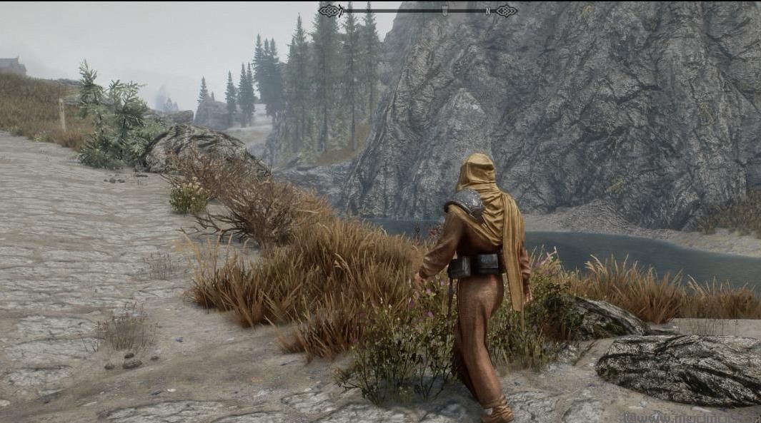 上古卷轴5：重置版MOD：Bandolier - NPC的袋子和小袋