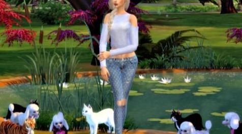 模拟人生4MOD：象猫装饰品