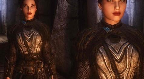 上古卷轴5：重置版MOD：武器装甲服装和杂物修复 - 俄语