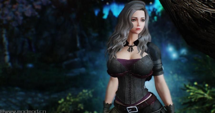 上古卷轴5：天际MOD：Leather Armor for一款非常漂亮的衣服（U身）