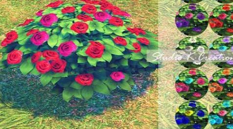 模拟人生4MOD：花植物5