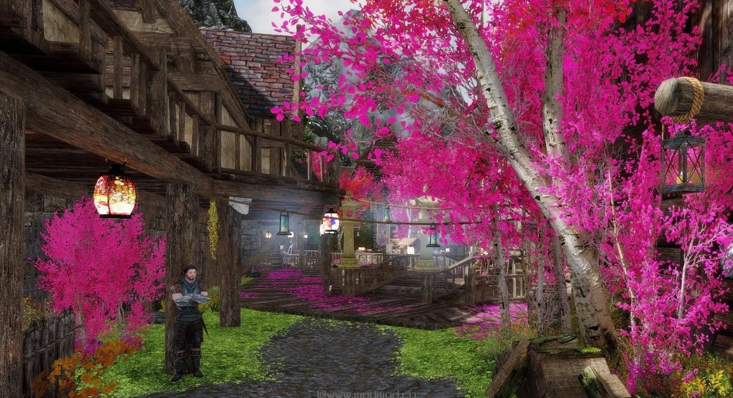 上古卷轴5：天际MOD：【东方臤夏绮丽谭】待到山樱烂漫时&mdash;&mdash;天际的樱花树，樱花雪