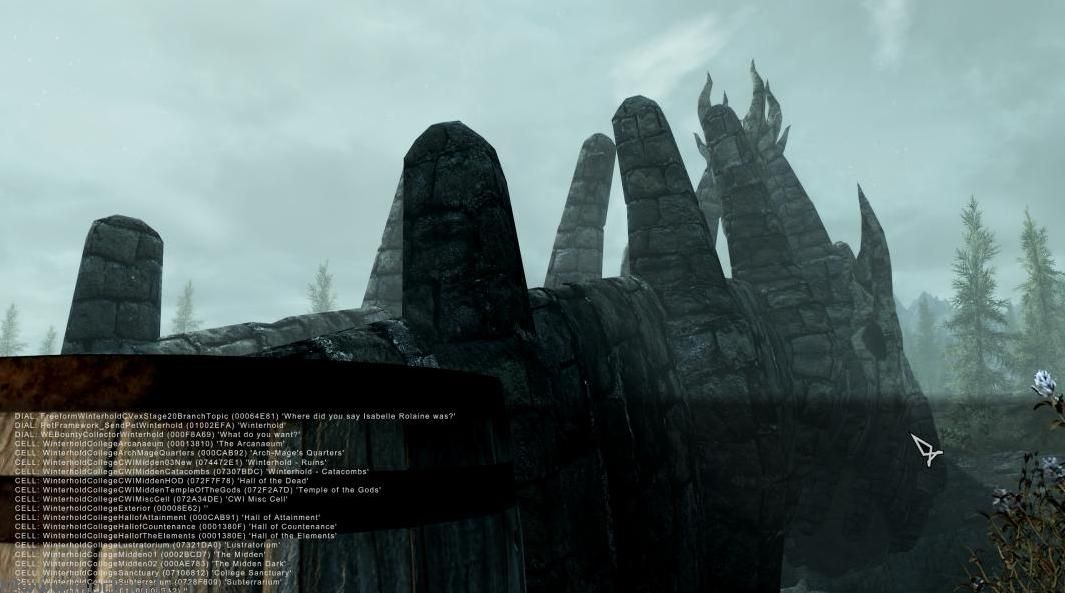Skyrim SE -动态链接容器
