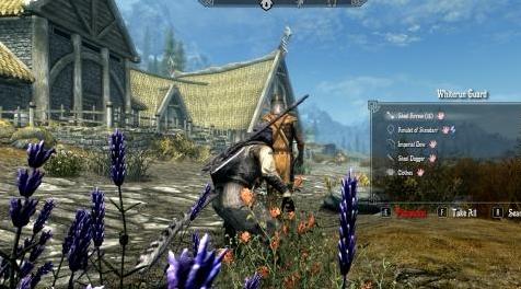 上古卷轴5：重置版MOD：快速Loot SE