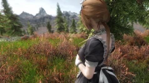上古卷轴5：天际MOD：CBBE HDT - UUNP HDT Bodyslide for Full HDT Maid Outfit with