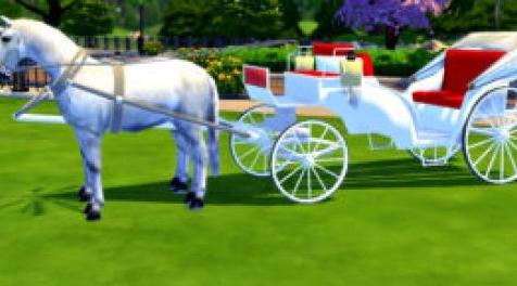模拟人生4MOD：婚礼马车