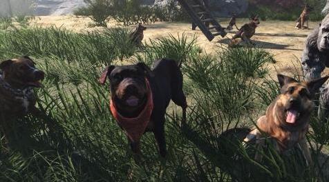 辐射4MOD：给狗肉找个伴--废土养狗大亨 Craftable Dogs