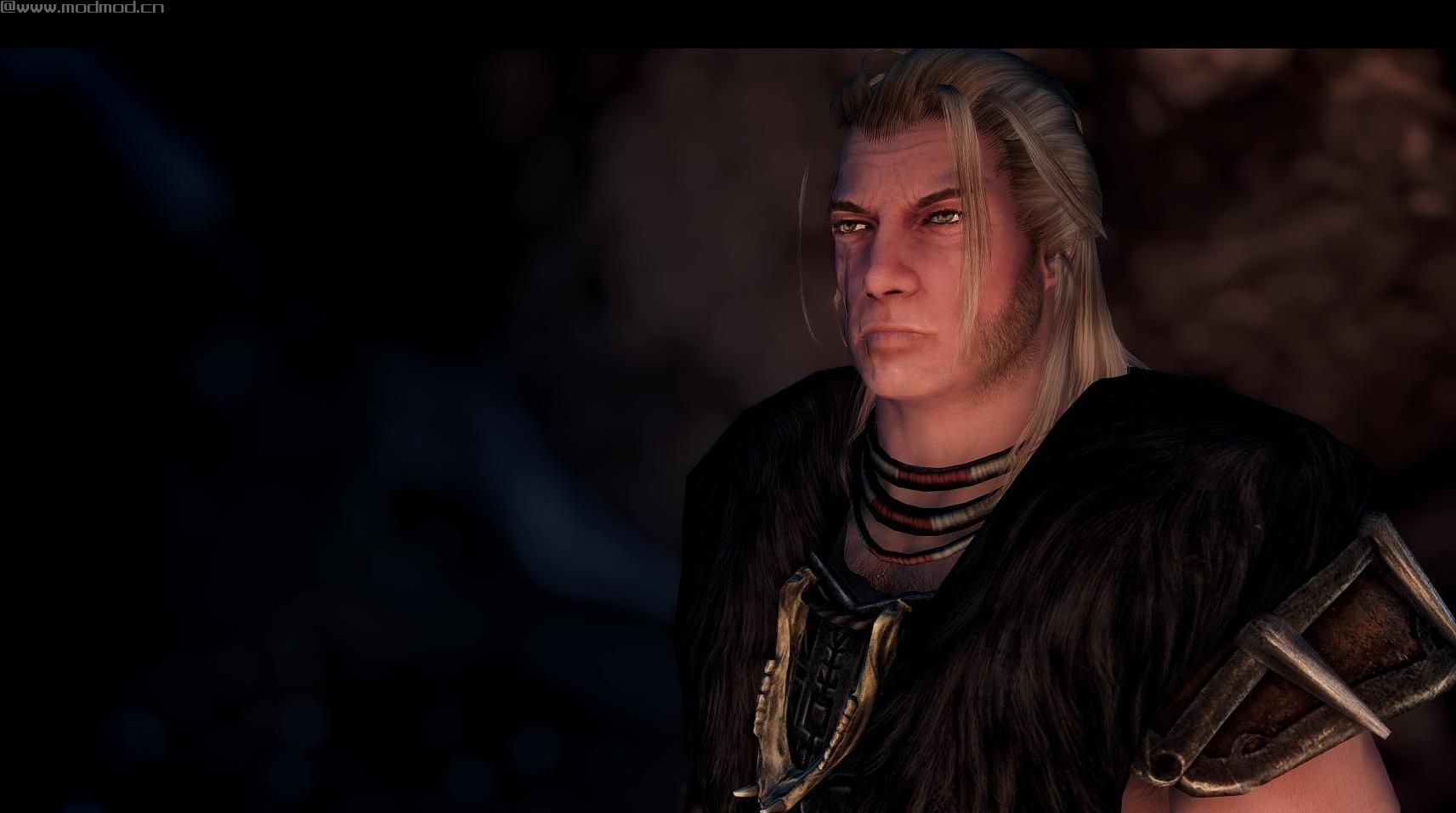 上古卷轴5：重置版MOD：沉默天空ENB