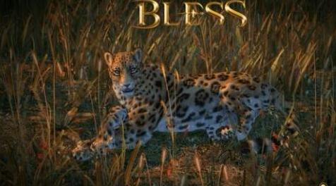 模拟人生4MOD：sim4豹子