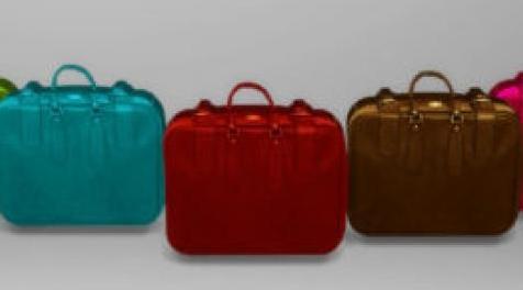 模拟人生4MOD：出租车手提箱