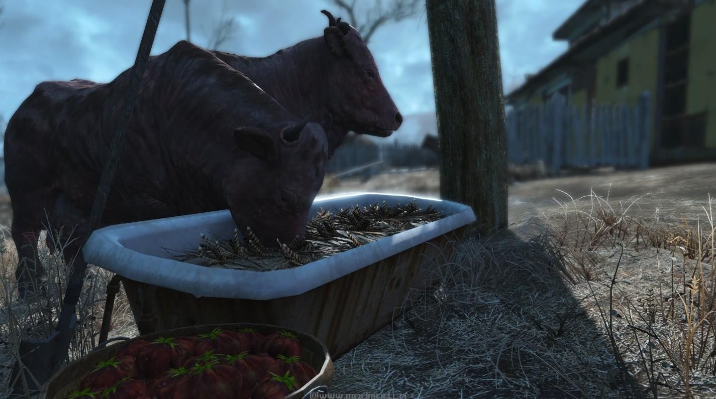 辐射4MOD：汉化 真实的婆罗门槽子MOD