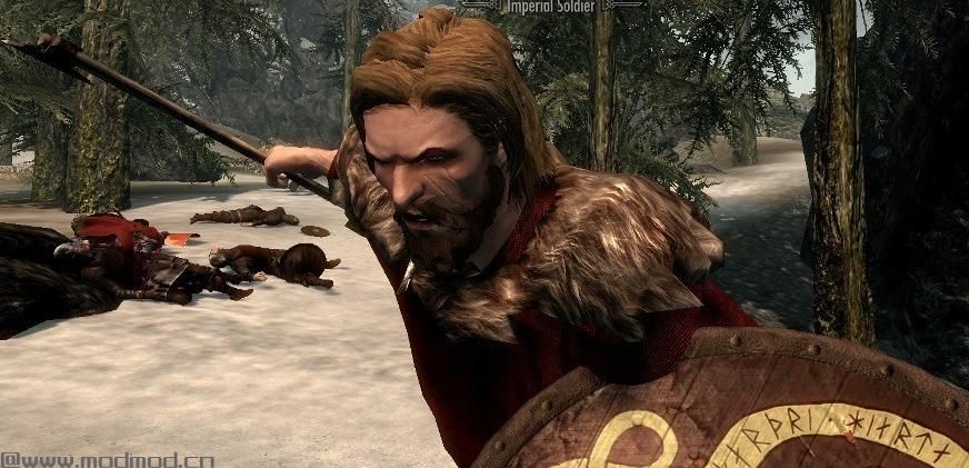 上古卷轴5：天际MOD：身临其境的巡逻队（Immersive Patrols ）