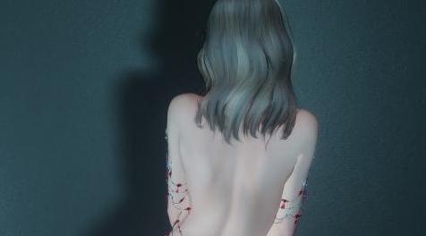 上古卷轴5：天际MOD：服装-LadyRitual