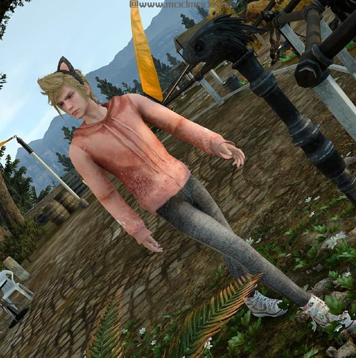 可爱风格〜猫连帽衫（Prompto的装备）