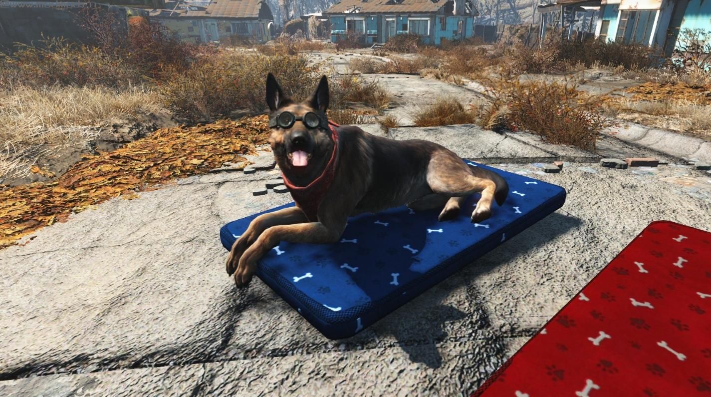辐射4MOD： 狗狗专用床垫