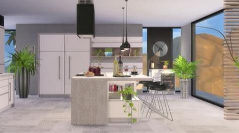 模拟人生4MOD：Black White Kitchen-厨房用品