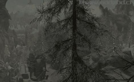 上古卷轴5：重置版MOD 龙的牙齿(Wyrmstooth) EV 2.1