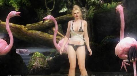 死或生5MOD  Selfie with Flamingo