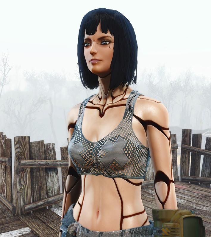 辐射4MOD 机械身体材质类mod
