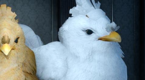 最终幻想15MOD Chickchocobo (for Ravus)