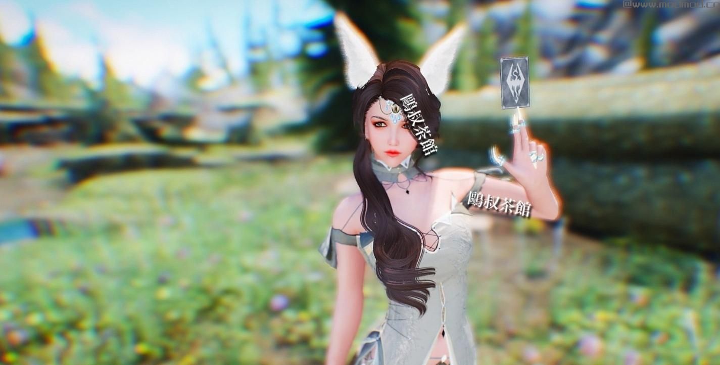 上古卷轴5：天际MOD 另一种极致 DW Plus TypeN ENB 补档
