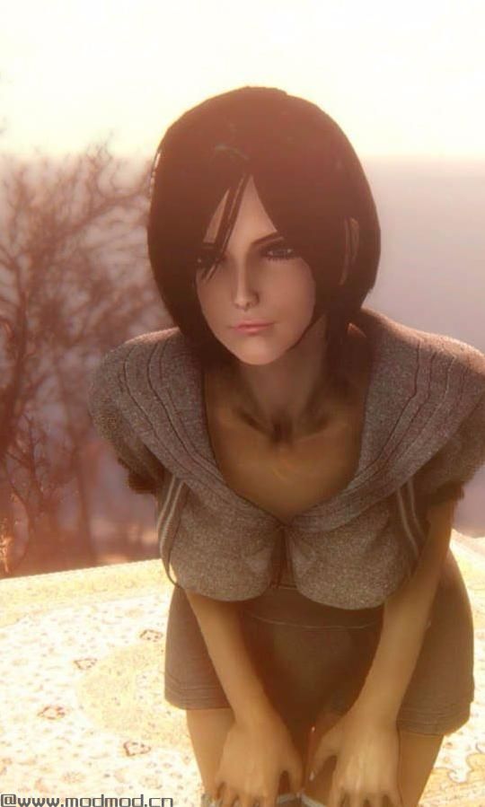 辐射4MOD Dave&rsquo;s Poses（2.0）+2.0.1小扩展包