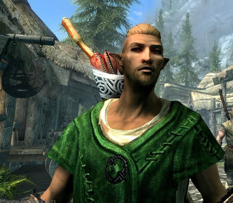 上古卷轴5：重置版MOD Katnerd随从和NPC