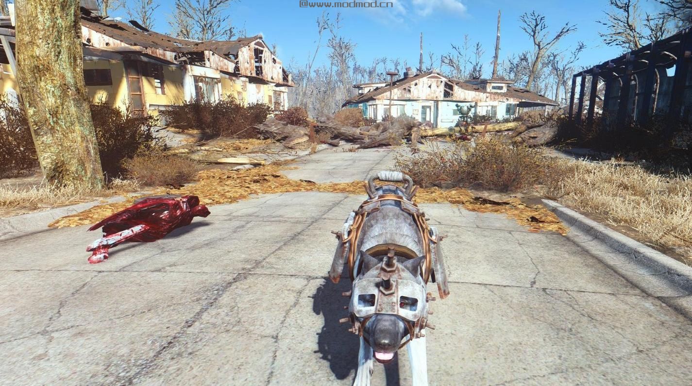 辐射4MOD 灰色狗肉皮肤美化