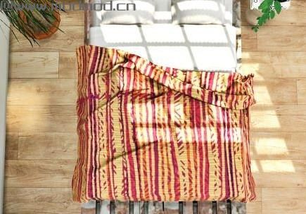 模拟人生4MOD tupid Pallet Bed