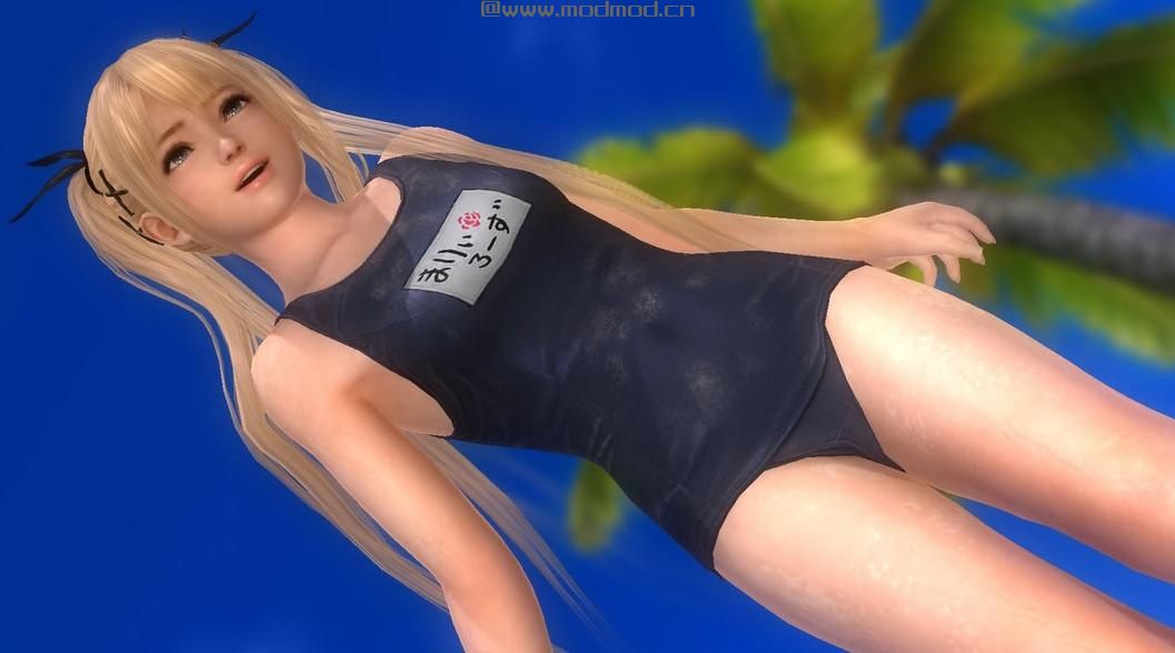上古卷轴5：天际MOD 美女随从