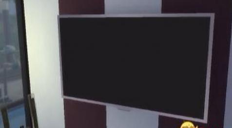 模拟人生4MOD Apple iTV