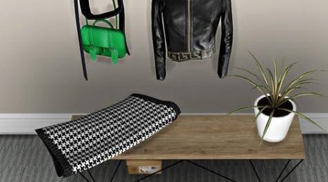 模拟人生4MOD 毯子夹克之类