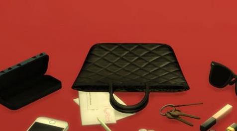 模拟人生4MOD 包中物品