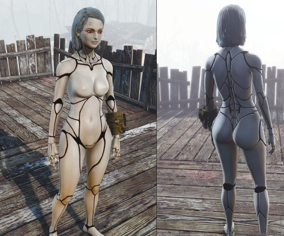 辐射4MOD 机械身体材质类mod