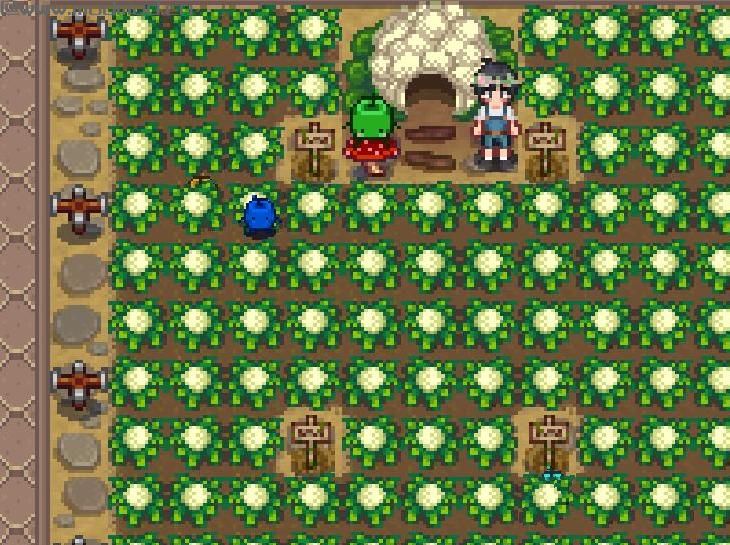 星露谷物语MOD 更漂亮的农场装饰