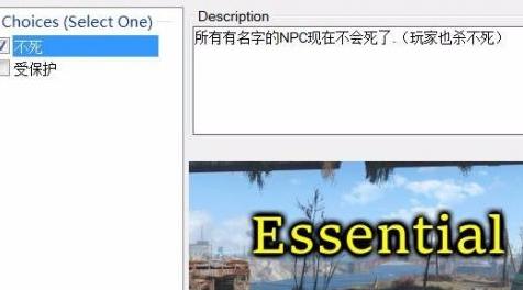 辐射4MOD 有名字的NPC不死Essential Named Settlers