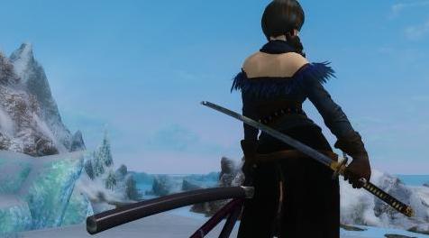 上古卷轴5：天际MOD 不动明王