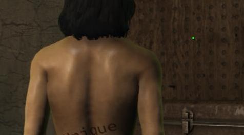 辐射4MOD Unique Player（独立的玩家皮肤架构）