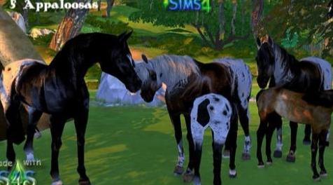 模拟人生4MOD 马装饰品