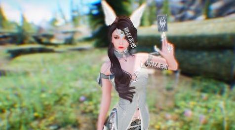 上古卷轴5：天际MOD 另一种极致 DW Plus TypeN ENB 补档