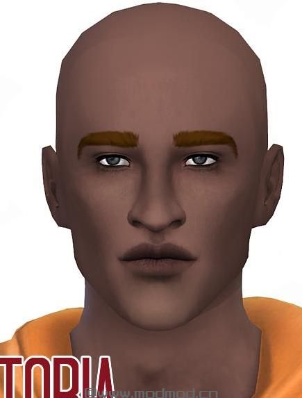 Chisami制作的非替换皮肤