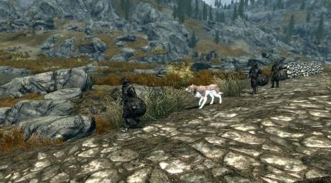 上古卷轴5：重置版MOD 刀片巡逻